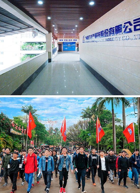 图片1
